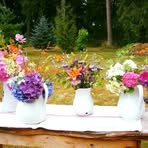 Profile Picture of Kathy Lahmann (@kathy.lahmann) on Facebook