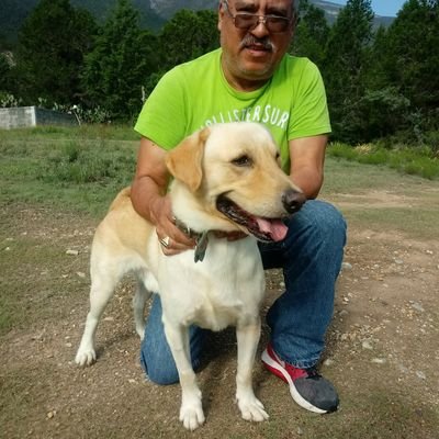 Profile Picture of Ruperto Ramírez Silva (@RamrezSilv) on Twitter