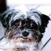 Profile Picture of Bobby Mouser (@bobby.mouser) on Facebook