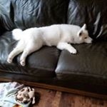 Darron Denise Smith - Instagram Profile Picture of Darron Denise Smith (@darrondenisesmith) on Instagram