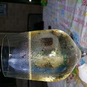 Profile Picture of Michelle Scott (@michellescott7290) on Youtube