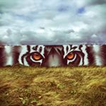 Profile Picture of Aaron Cousins (@yogiaaron) on Instagram