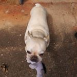 Aaron Tilley - Instagram Profile Picture of Aaron Tilley (@gamingodessey_yt) on Instagram