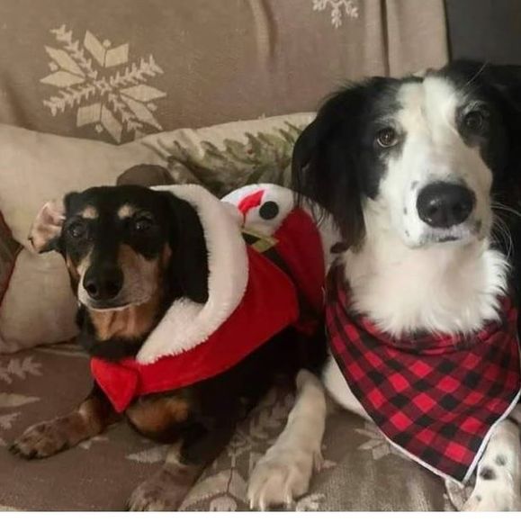 Profile Picture of Larissa Gethard (@jerseyblonde84) on Poshmark