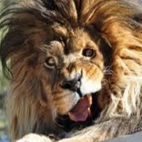 Profile Picture of Nathaniel Lynch (@nathaniel-lynch-2) on Quora