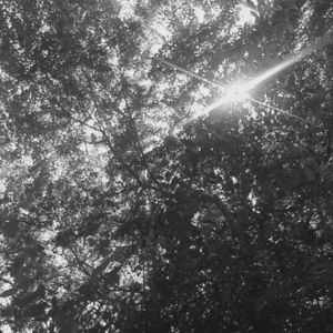 Profile Picture of Alexx Ramirez (@multiblackbird) on Myspace