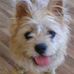 Profile Picture of Marilyn Pitcher (@marilyn.pitcher.3) on Facebook