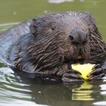 Profile Picture of lucero keith (@keith0885np) on Instagram