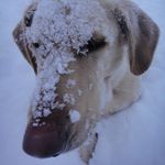 Profile Picture of daniel_kilburn (@daniel_kilburn) on Instagram