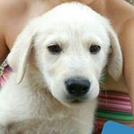 Profile Picture of tamaracollazo (@tamaracollazo2666) on Instagram