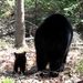 Profile Picture of Celia Webb (@celiaw58) on Pinterest