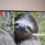 Profile Picture of Marek Žáček (@marek.zacek.77) on Facebook