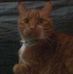 Profile Picture of Garfield James Oelschlager (@garfieldjames.oelschlager) on Facebook