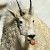 Profile Picture of Adam Hullinger (@adamh6313) on Pinterest
