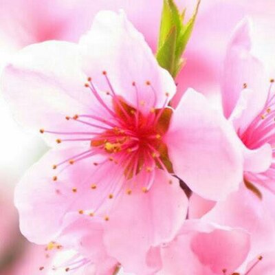 Profile Picture of Nasreen Mirza (@NasreenMirza786) on Twitter