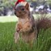Profile Picture of Jenny Davis (@trackmom67) on Pinterest