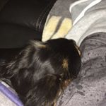 Profile Picture of Chris Ohalloran (@chris.ohalloran45) on Instagram