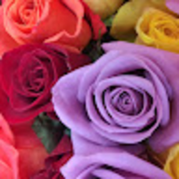 Maricruz and steven Zacharias - Poshmark Profile Picture of Maricruz and steven Zacharias (@shivansteven) on Poshmark