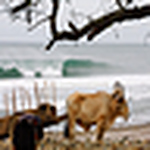 Profile Picture of Jairo Ramos (@jairorbphoto) on Flickr