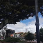 Profile Picture of Ani Dischelis Rojas Chourio (@kevin.tuillos) on Facebook