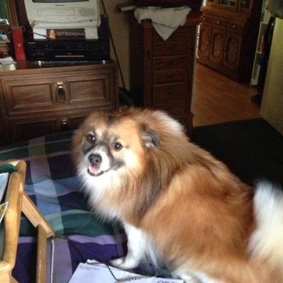 Profile Picture of Barbara Haley (@maanpa63) on Twitter