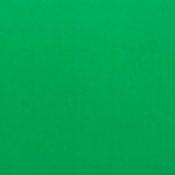 Profile Picture of Lori Allen (@loritell) on Poshmark