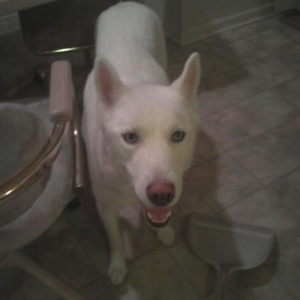 Profile Picture of Deaira Thompson (@286910682) on Myspace