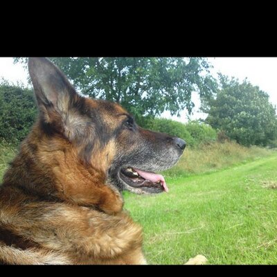 Profile Picture of Dino Walker (@Vinnie3031) on Twitter