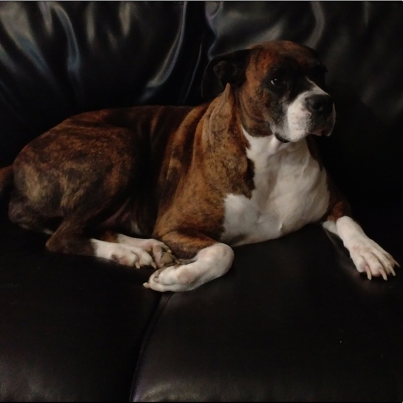 Profile Picture of Alissa Hadjian (@alissajo_23) on Poshmark