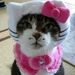Profile Picture of Jeannie Totten (@jtot) on Pinterest