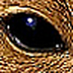 Profile Picture of Fire_n_rain (@fire_n_rain) on Flickr