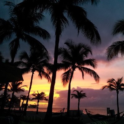 Profile Picture of Debbie Coughlin (@luvpics12) on Twitter