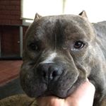 Profile Picture of Jon Haas (@jonhaas23) on Instagram