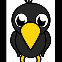 Profile Picture of Tobi The Crow (@tobi-the-crow) on Quora