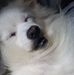 Profile Picture of Gail S. Perez (@gail.perez.794) on Facebook