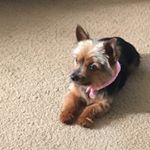 Profile Picture of Marcy Howells Conley (@marcyconley01) on Instagram