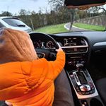 Profile Picture of David Biber (@david.biber.9) on Instagram