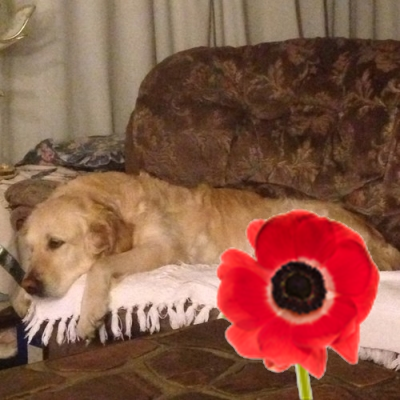 Chris Jubb - Twitter Profile Picture of Chris Jubb (@cousinitt1972) on Twitter