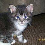 Profile Picture of Melanie Jacoby (@melaniejacoby) on Instagram