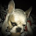 Profile Picture of Tyler Hoppe Gabriel (@tyler_hoppe_gabriel) on Instagram