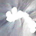 Profile Picture of Jo-Ann Oates (@jojolo2) on Flickr