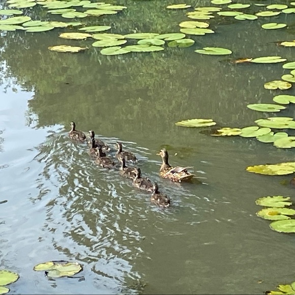 Profile Picture of Perry P (@zaction24) on Poshmark