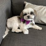 Shawn Altman - Instagram Profile Picture of Shawn Altman (@shawn_altman) on Instagram