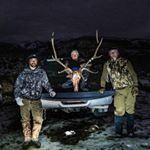 Profile Picture of Bo Nelson (@bonelson1) on Instagram