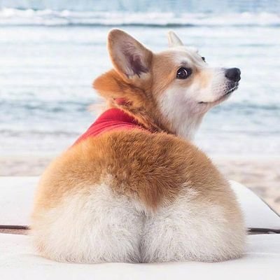 Profile Picture of Jo Yang (@joyang93112642) on Twitter