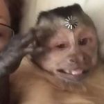 Profile Picture of Gabriel Aburto Gonzalez (@flamantgvng) on Instagram