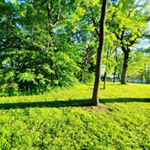 Profile Picture of Dustin Metzger (@dustin.met) on Instagram