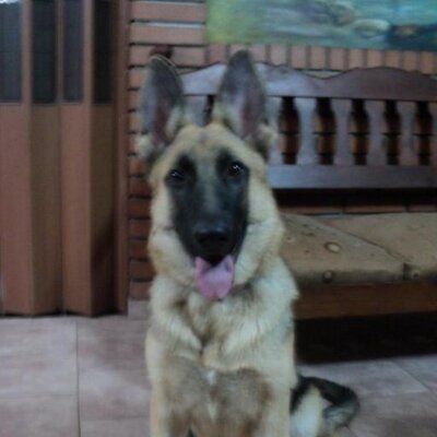 Profile Picture of Brian (@brian_mori) on Twitter