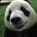 Profile Picture of Marcelo Lima Segato (@marcelo.limasegato.1) on Facebook