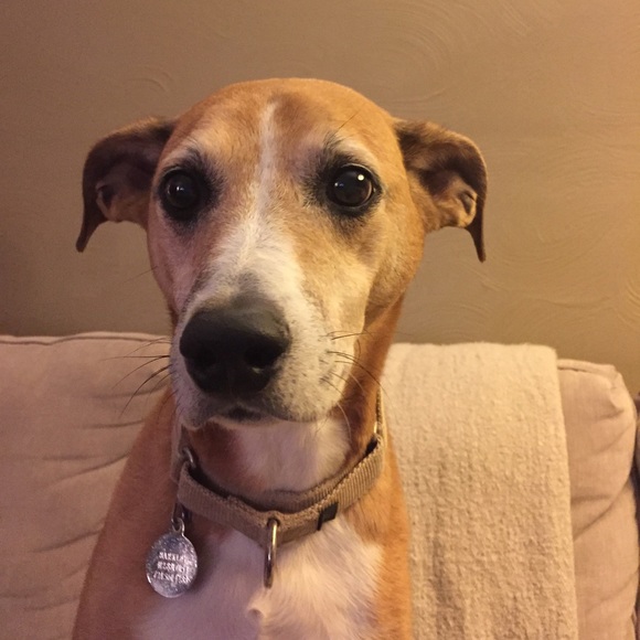 Profile Picture of Marie Maletic (@mpm121) on Poshmark